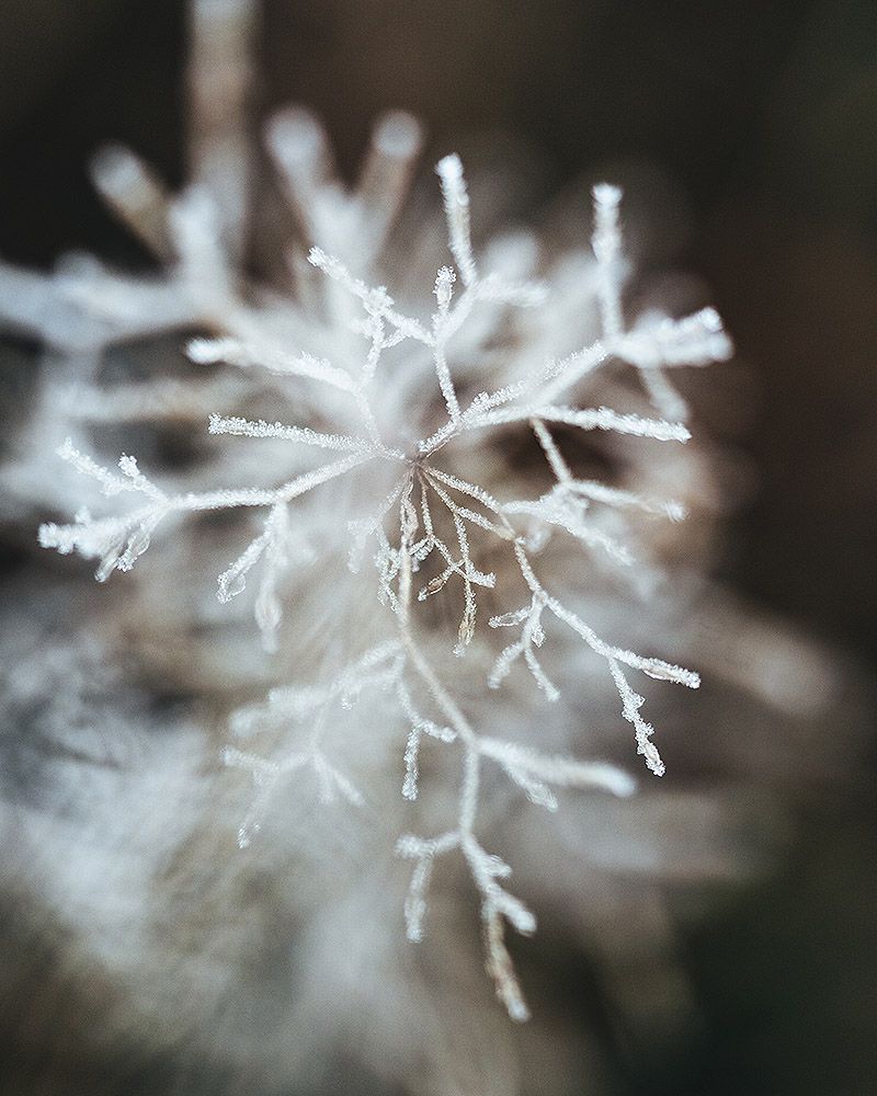 Photo: Pawel Olszowka / We Roam Poland