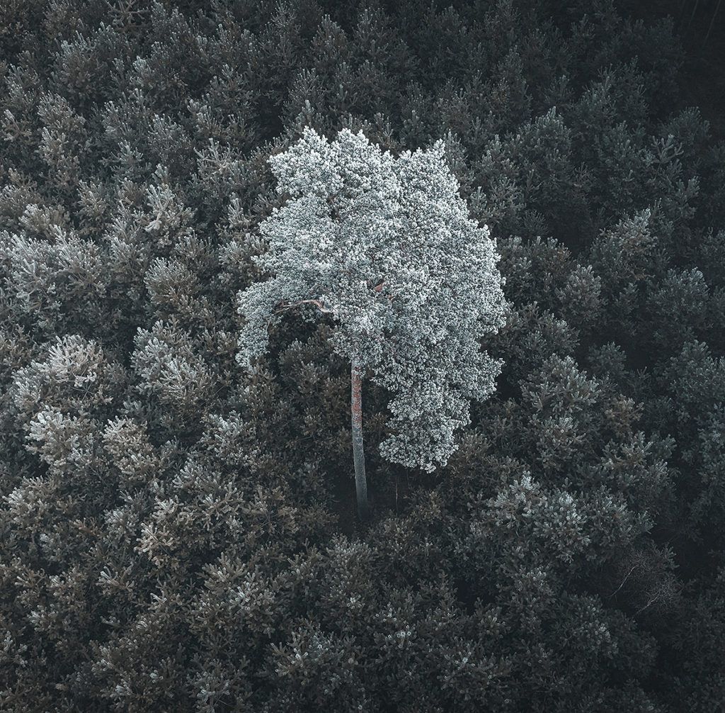 Photo by Pawel Olszowka / We Roam Poland