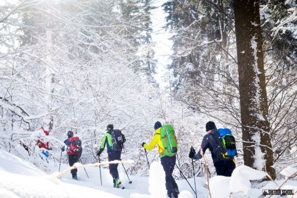 Skituring in the Bieszczady forests (photo: Mateusz Mróz)